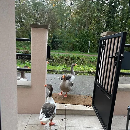 Hébergement de vacances Mon Havre De Paix Wolxheim